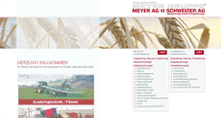 Desktop Screenshot of meyergruppe.ch.lilienthal.ch-meta.net